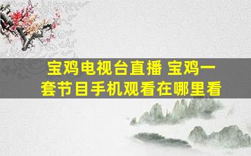 宝鸡电视台直播 宝鸡一套节目手机观看在哪里看